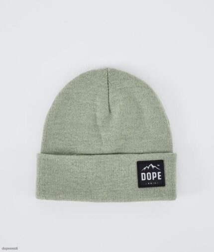 Dope Snow Eesti -paradiisi nokamüts Dope sõnajalaroheline B62VTF426
